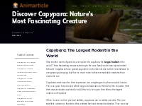 Discover Capypara: Nature s Most Fascinating Creature (2024)