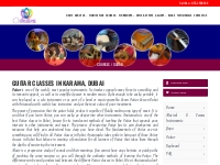 Guitar classes in Dubai - Learn Best Guitar Lesson in Dubai with Antar