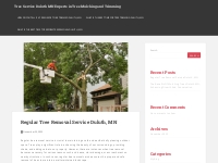 Tree Service Duluth MN Experts in Tree Mulching and Trimming