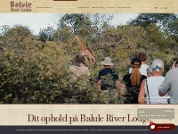 Safari   aktiviteter - Balule River Lodge