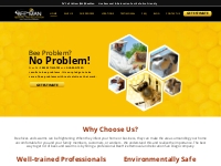 Bee Man Live Removal San Diego - Honey Bee Hive and Nest Removal San D