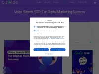 Voice Search SEO: For Digital Marketing Success - Biz Glide