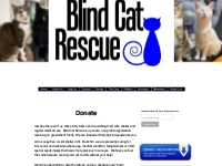 Blind Cat Rescue is a life time care sanctuary for blind, FIV   leukem