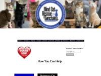 Lots of free or almost free ways you can help the blind, FIV   FELV+ c