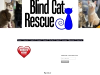 Blind Cat Rescue - Sponsor a blind, FIV or FELV+ Cat