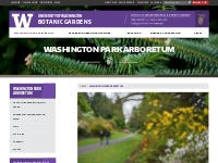 Washington Park Arboretum  |  University of Washington Botanic Gardens