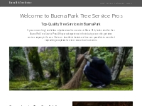 Buena Park Tree Service Pros | Professional Tree Care Services