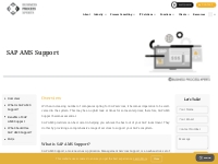 SAP AMS Support