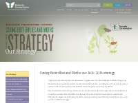 Our Strategy | Butterfly Conservation