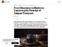 From Mountains to Medicine: Examining the Potential of Salajeet Treatm
