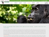 Bwindi Impenetrable National Park- Uganda Gorilla Trekking Tours
