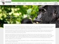 Luxury Gorilla safaris- Bwindi Impenetrable forest National Park