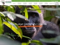Budget Gorilla Safari Uganda- Bwindi Impenetrable Forest National Park