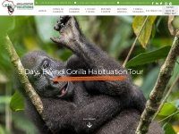Gorilla habituation Tour- Bwindi Impenetrable Forest National Park