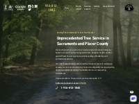 Home | Tree Service in Lincoln, Ca | Capital Tree Service