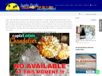 Capiz Lotus Chandelier | Capiz Shell Product