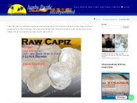 Capiz Shell Raw | Capiz Shell Product | Capiz Seashells