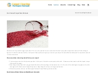 Do it Yourself Carpet Stain Removal