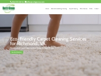 Green Carpet   Wool Rug Cleaning | Richmond VA