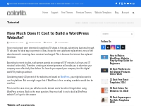 How Much Does It Cost to Build a WordPress Website? - Colorlib