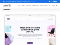 25 Best WooCommerce Website Examples 2024 - Colorlib