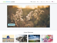 Wordpress Slideshow - Free Pure CSS3 slide show