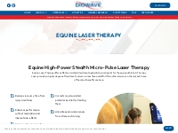 Equine Laser Therapy Machine - Class 4 Laser For Sale - DioWave Laser