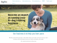Start or grow your dog training/walking business | dogbiz
