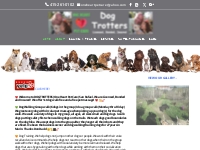Dog Trotters / One Heart Pet Care / 1st Walk Free! / 5 Star YELP Dog W