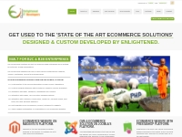 Ecommerce Websites Custom Designed by magento experts at Enlightened I