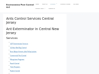 Ant Exterminator In Central New Jersey: Effective And Affordable