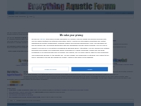 Home | Everything Aquatic- Forum Board
