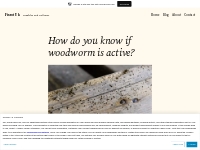 How do you know if woodworm is active?   Fixrot Uk