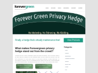 Forevergreen Privacy Hedge