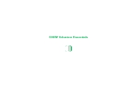 GSEM Volunteer Essentials
