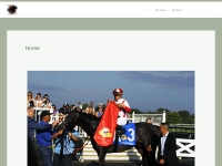 Goldmine Handicapping   Thoroughbred race handicapping site