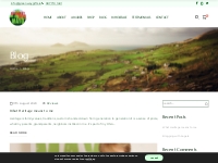Blog ,Keep in touch ,All things Irish ,Read Amazing stories  | Greenwa