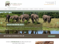 Elephant Sanctuary Hartbeespoortdam, South Africa