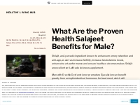 What Are the Proven Health Salajeet Benefits for Male?   Healthy Livin