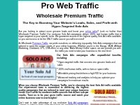 Wholesale Premium Traffic - Hyper-Targeted Solo Ads Campaigns