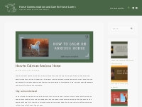 How to Calm an Anxious Horse - Horse Care for Horse Lovers
