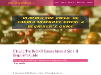 Moving the field of Casino Internet sites: A Beginner's Guide