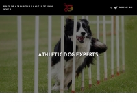        Canine Performance Nutrition | Performance Dog Supplements    k