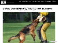 Guard Dog Training / Protection Training | DAVE TEOH s ACADEMY