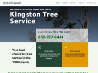 Kingston Tree Service   Planting   Removal   Pruning