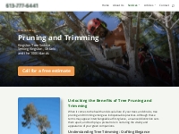 Tree Pruning   Kingston Tree Service