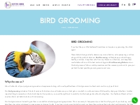 Expert Bird Grooming Near Me | Bird Grooming Services Dubai