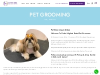 Pet Grooming in Dubai and Ajman | Pickup   Drop