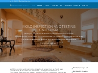Knight Environmental Consulting | Mold INSPECTION