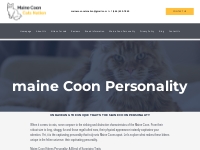 Maine Coon Personality - Maine Coon Cats Nation